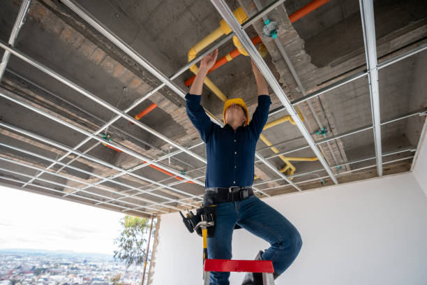Best Same-Day Plumbing Service  in Ramona, CA