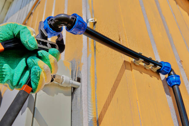 Best Local Plumber Services  in Ramona, CA